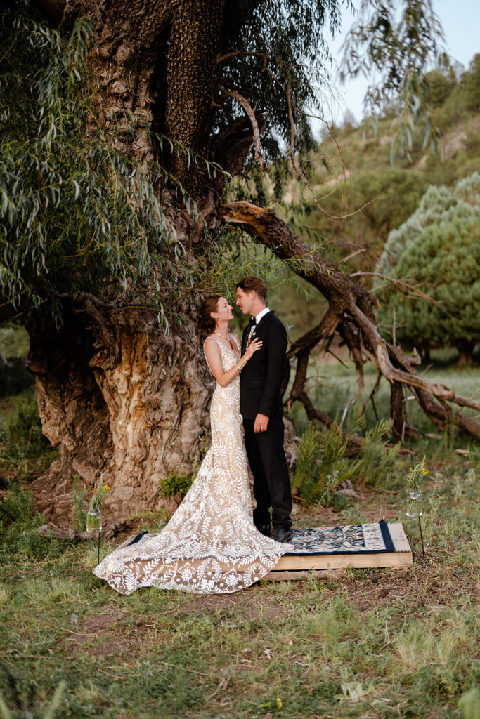 Outdoor wedding ceremony under a willow tree at a rustic ranch venue in the Southwest captured by a destination wedding photographer based in New Mexico